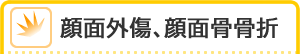 顔面外傷、顔面骨骨折